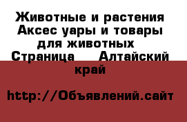 Животные и растения Аксесcуары и товары для животных - Страница 2 . Алтайский край